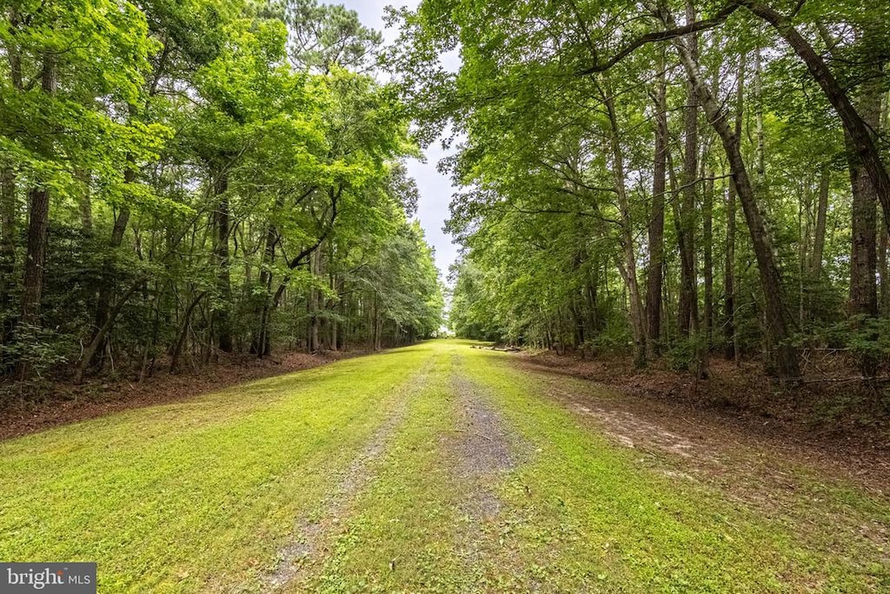  Real Estate for Sale - 12089 Saint Martins Neck Rd in Bishopville Photo 62