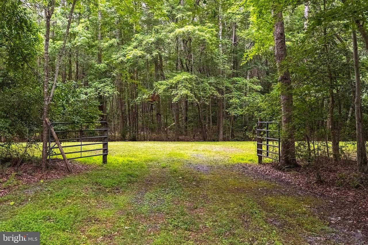  Real Estate for Sale - 12089 Saint Martins Neck Rd in Bishopville Photo 65