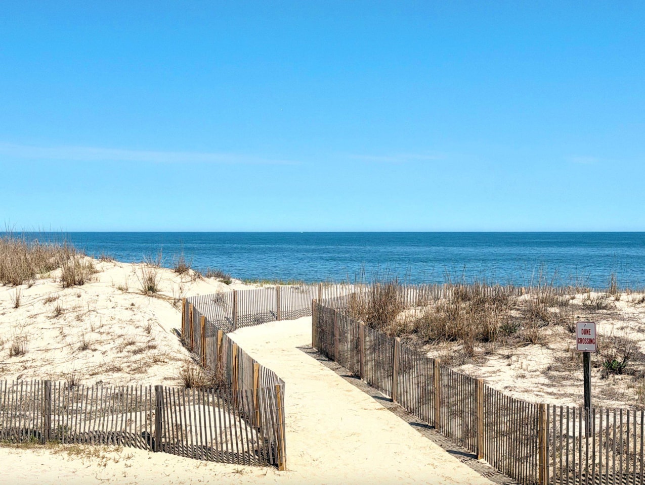 Sun Coast Real Estate for Sale - 5105 Atlantic Ave #101 in Ocean City Photo 45