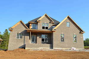 14010 Fancy Gap Dr Louisville, KY 40299