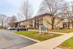 505 S Cleveland Ave #205 Arlington Heights, IL 60005