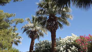 860 S Village RD #Z-10 St George, UT 84770 condo for sale, MLS#25-257876 - Erika Rogers Photo 3