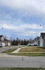 314 Dorchester Dr in Howell, MI Photo 3