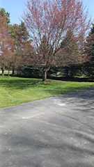 11484 Wood Rd in Dewitt, MI Photo 3