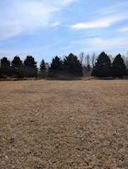 6681 6 Mile Road in Salem Twp, MI Photo 3