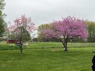 7532 E E W Ave in Brady Twp, MI Photo 4
