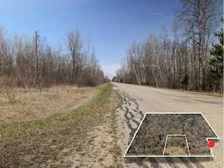 V/L S Wieman Rd in Hay Twp, MI Photo 3