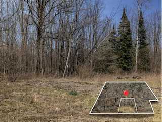 V/L S Wieman Rd in Hay Twp, MI Photo 5