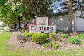 6541 Deerhurst Dr in Westland, MI Photo 3