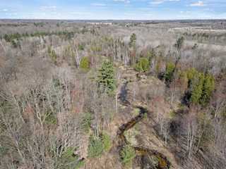 00# N Benson Rd in Branch Twp, MI Photo 5