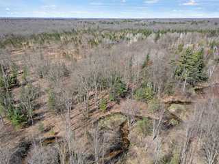 00# N Benson Rd in Branch Twp, MI Photo 3