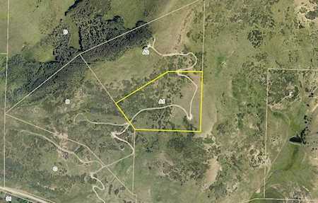 11800 Highway 62 #A1 Placerville, COLORADO 81430