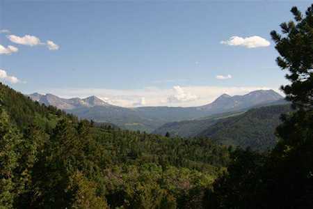 TBD Dragon Lode Dr #Lot 4 Placerville, COLORADO 81430