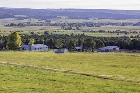 1267 County Road 44Zn Norwood, COLORADO 81423