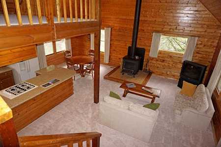 219 Juniper Village Dr Placerville, COLORADO 81430