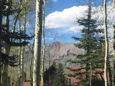 TBD Fox Farm Rd #59 Telluride, COLORADO 81435