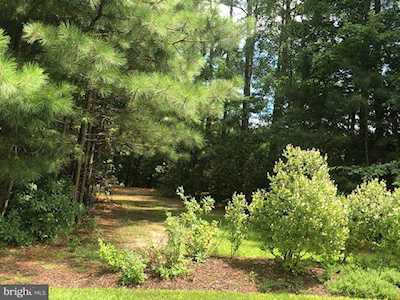 6 Potomac Ave Berlin, MD 21811