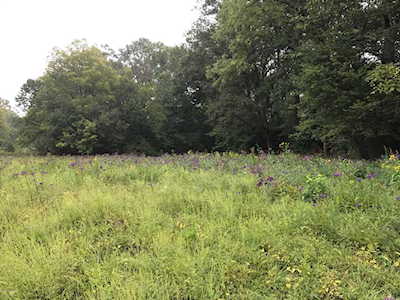 12014 Charlock Ct Prospect, KY 40059