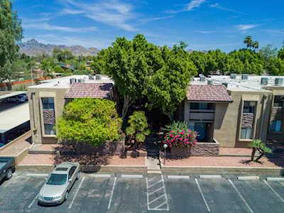3825 E Camelback Road #232 Phoenix, AZ 85018
