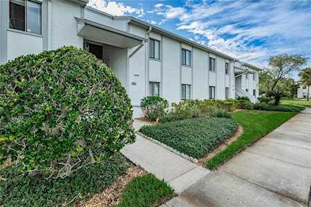 296 Cypress Lane #296 Oldsmar, FL 34677