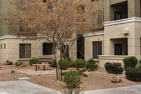 5303 N 7th Street #328 Phoenix, AZ 85014