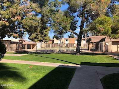 7126 N 19th Avenue #225 Phoenix, AZ 85021
