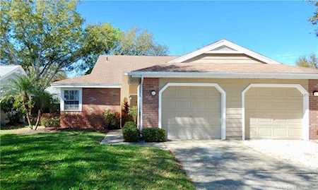 340 Hibiscus Drive Palm Harbor, FL 34684