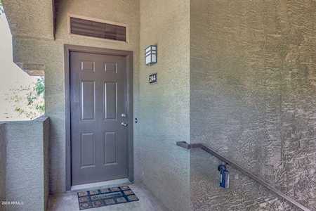 5303 N 7th Street #244 Phoenix, AZ 85014