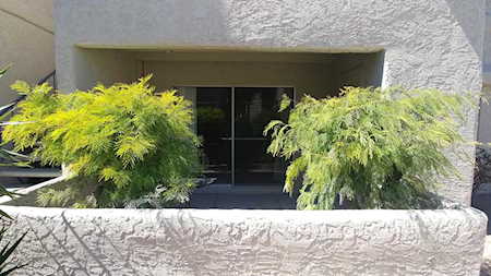 4444 E Paradise Village Parkway #160 Phoenix, AZ 85032