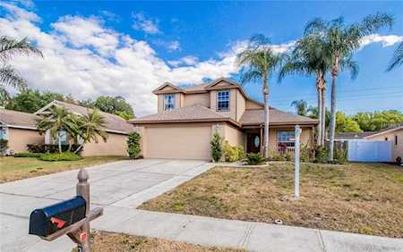 3200 Bentley Drive Palm Harbor, FL 34684