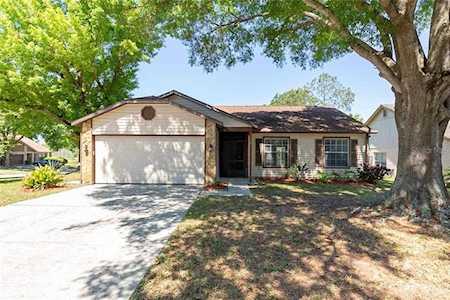 3691 Dehaven Drive Palm Harbor, FL 34684