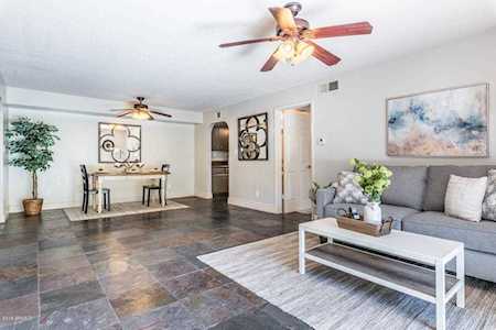 3825 E Camelback Road #155 Phoenix, AZ 85018