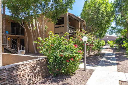 3825 E Camelback Road #205 Phoenix, AZ 85018