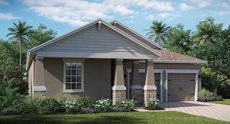 10066 Halesia Woods Drive Orlando, FL 32832