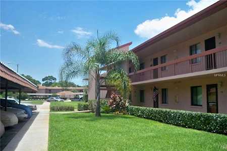 142 Lakeside Drive Oldsmar, FL 34677