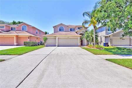 1660 Gray Bark Drive Oldsmar, FL 34677