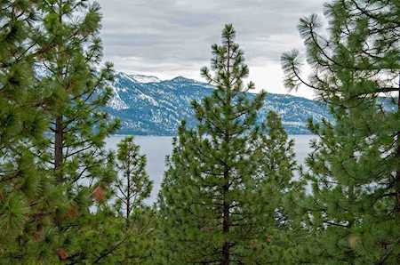 571 Dale Drive Incline Village, NV 89451