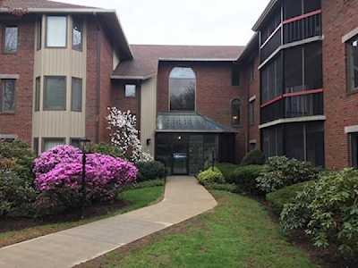 770 Salisbury Street #316 Worcester, MA 01609