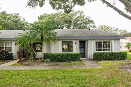 860 Glen More Court #D Palm Harbor, FL 34684