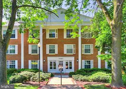 7680 Tremayne Place #302 Mclean, VA 22102