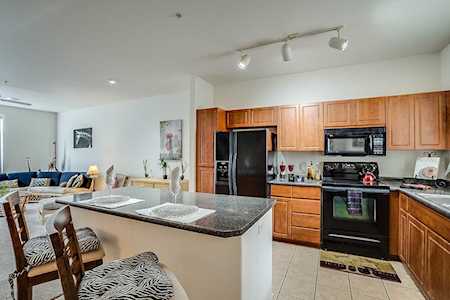911 E Camelback Road #1042 Phoenix, AZ 85014