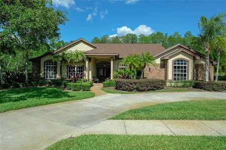 205 Silver Moss Lane Tarpon Springs, FL 34688