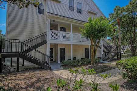 3313 Haviland Court #302 Palm Harbor, FL 34684