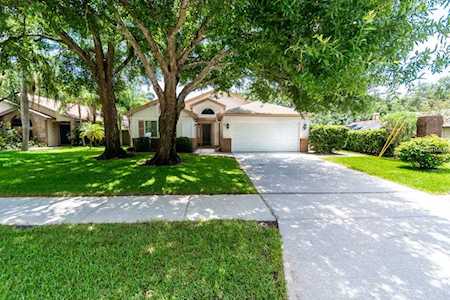 3512 Ridge Boulevard Palm Harbor, FL 34684