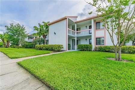 168 Lakeview Way Oldsmar, FL 34677