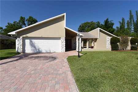50 Ivy Terrace Oldsmar, FL 34677