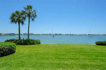 4525 Cove Circle #103 St Petersburg, FL 33708