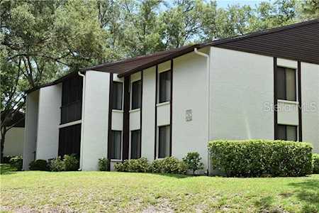 1725 W Pine Ridge Way #A2 Palm Harbor, FL 34684