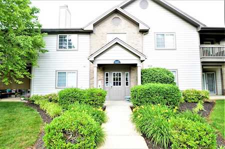 1207 Taxus Top Ln #204 Louisville, KY 40243