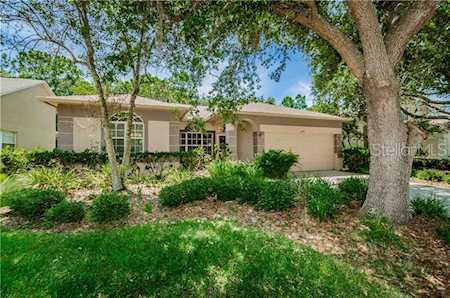 1678 Bayhill Drive Oldsmar, FL 34677